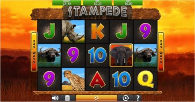 Stampede Slot
